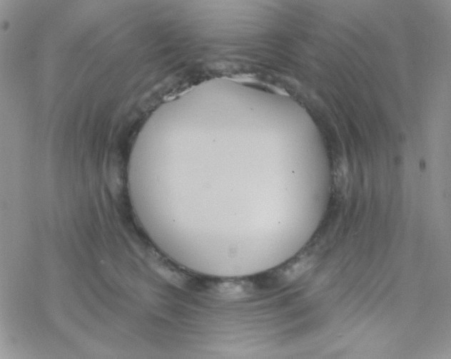 X0000077400566200611172107