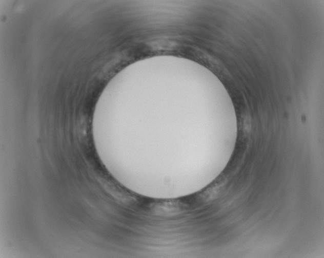 X0000077400567200611172107