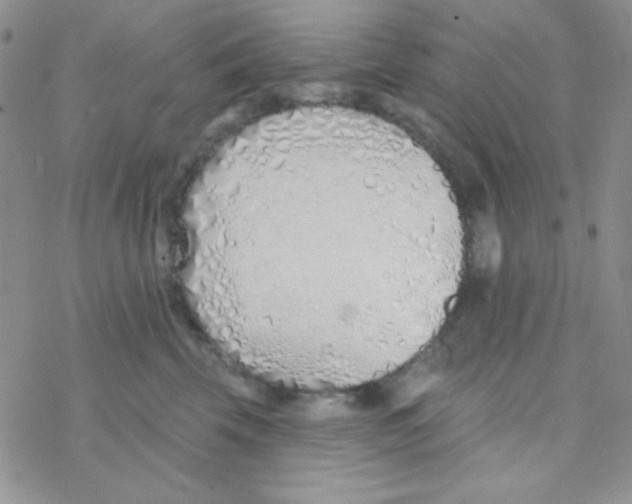 X0000077400569200611172107