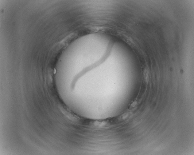 X0000077400570200611172107