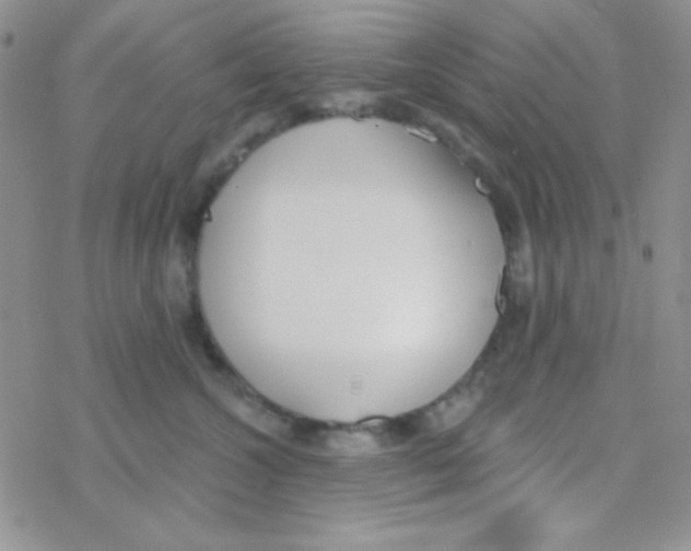 X0000077400572200611172107