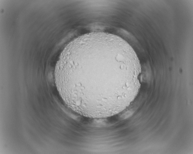 X0000077400573200611172107