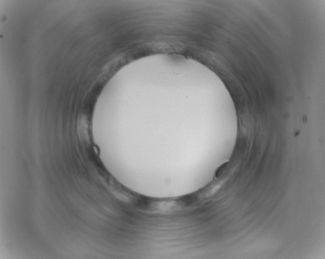 X0000077400575200611172107