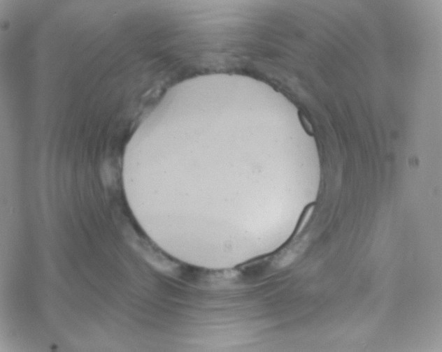 X0000077400576200611172107