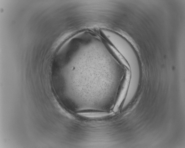 X0000077400577200611172106