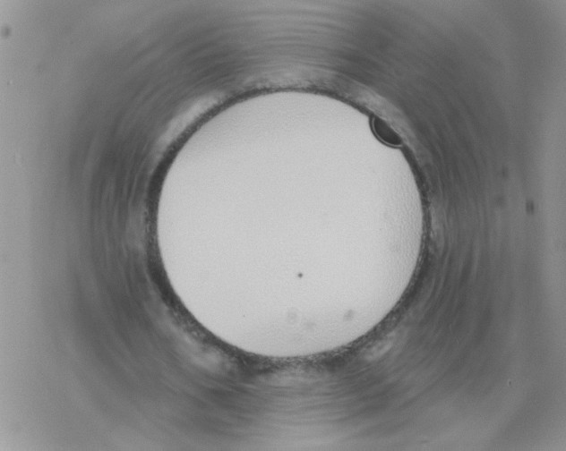 X0000077400578200611172106