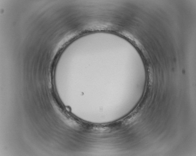 X0000077400582200611172106