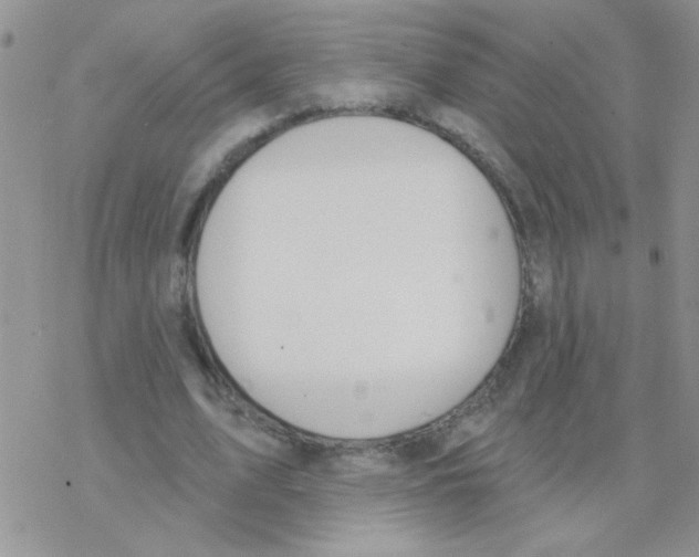 X0000077400583200611172106