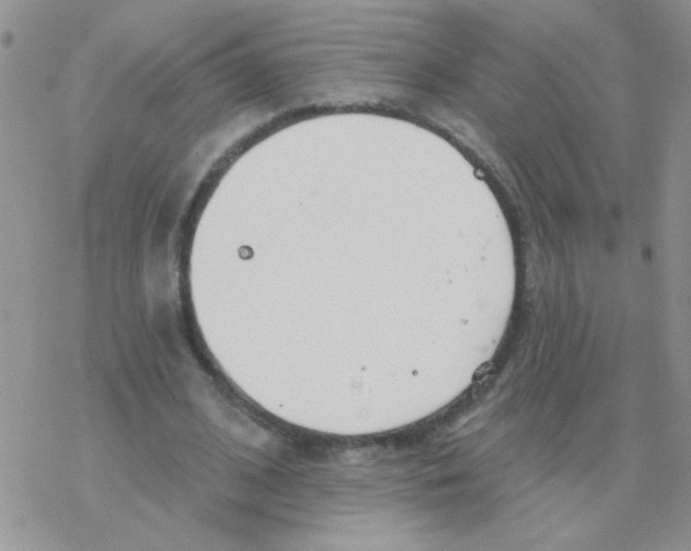 X0000077400584200611172106