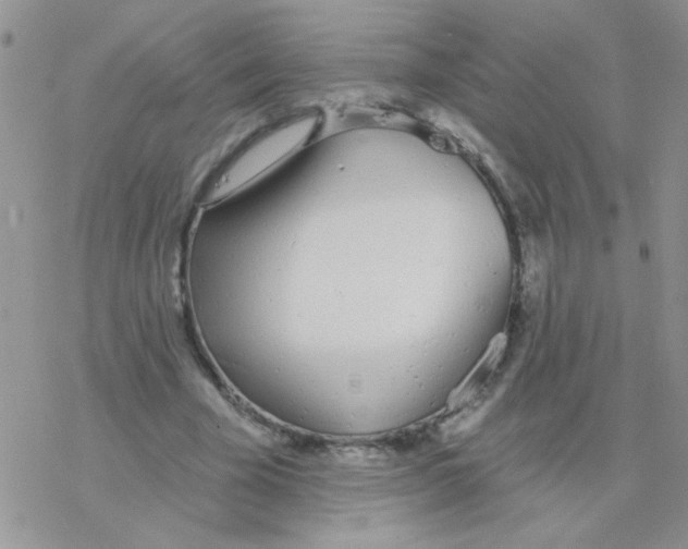 X0000077400585200611172106