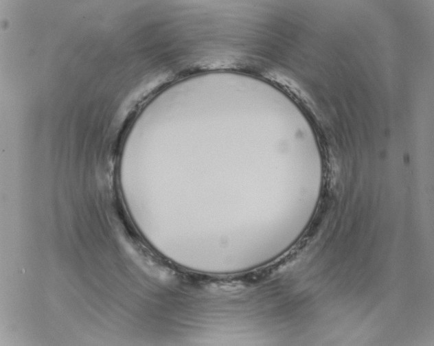 X0000077400586200611172106