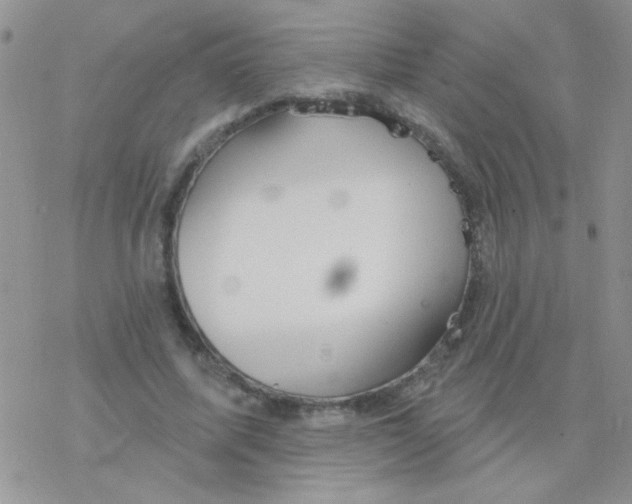 X0000077400587200611172106