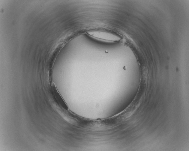 X0000077400589200611172106