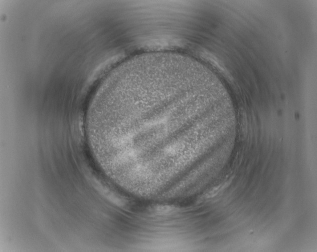 X0000077400590200611172106