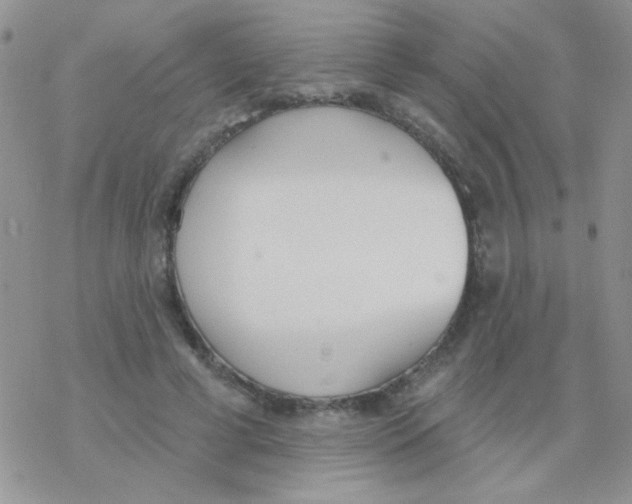 X0000077400593200611172106