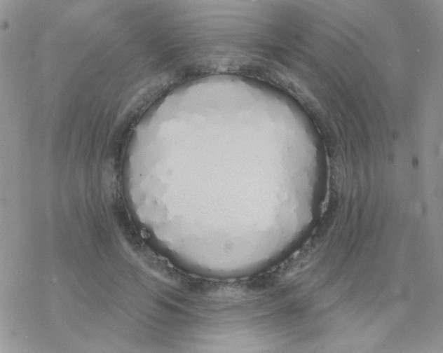 X0000077400594200611172106