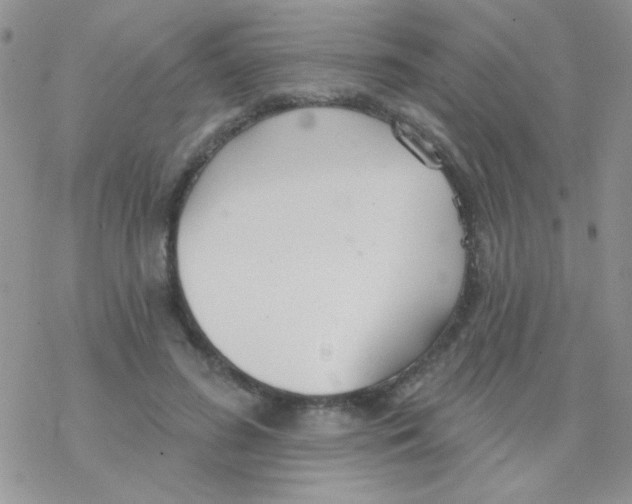 X0000077400596200611172106