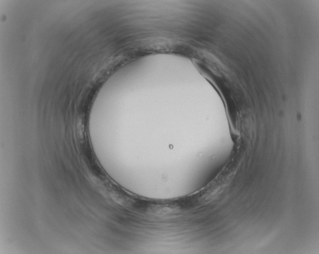 X0000077400597200611172106