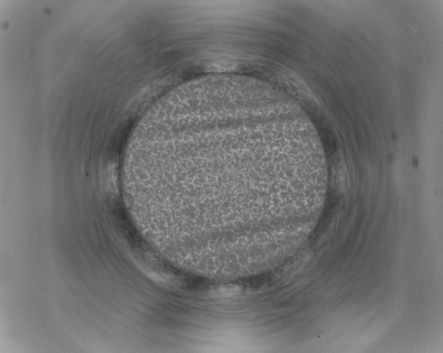 X0000077400598200611172106