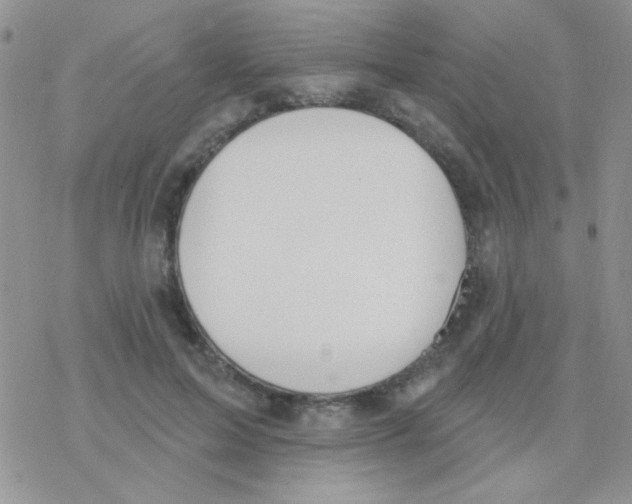 X0000077400599200611172106