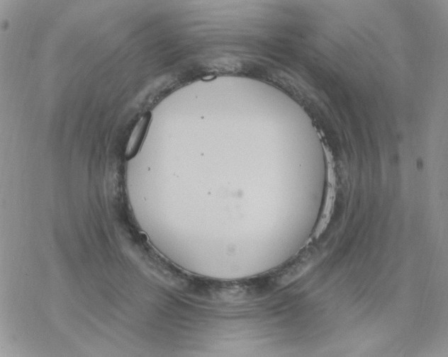 X0000077400600200611172106