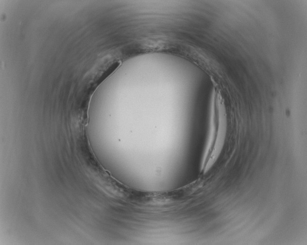 X0000077400601200611172106