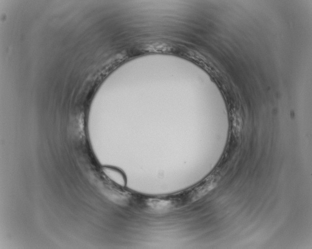 X0000077400602200611172106