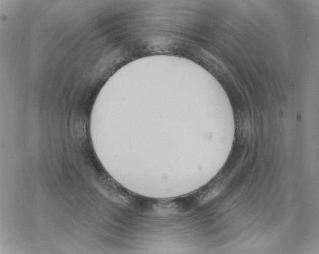 X0000077400603200611172106