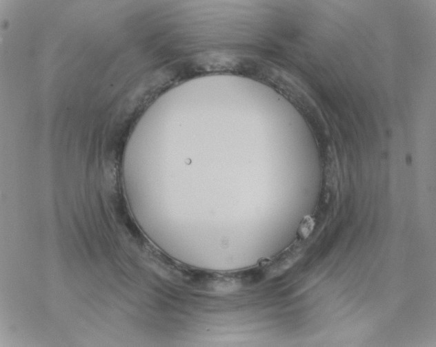 X0000077400604200611172106