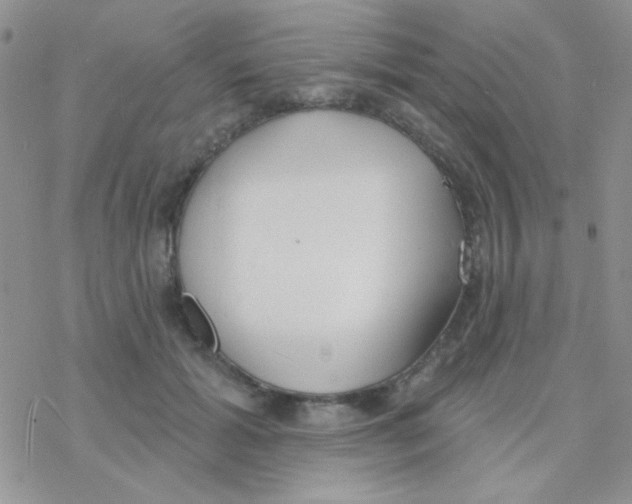 X0000077400605200611172106