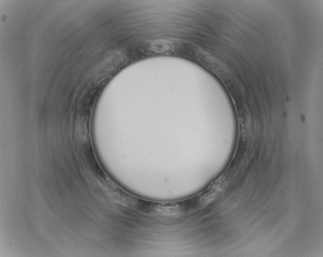 X0000077400606200611172106