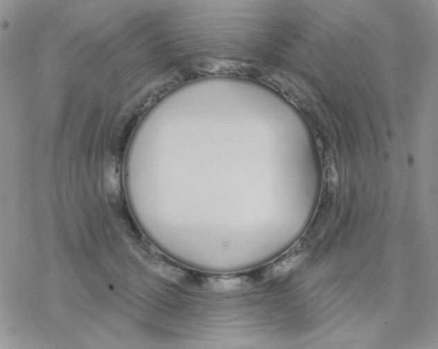 X0000077400607200611172106