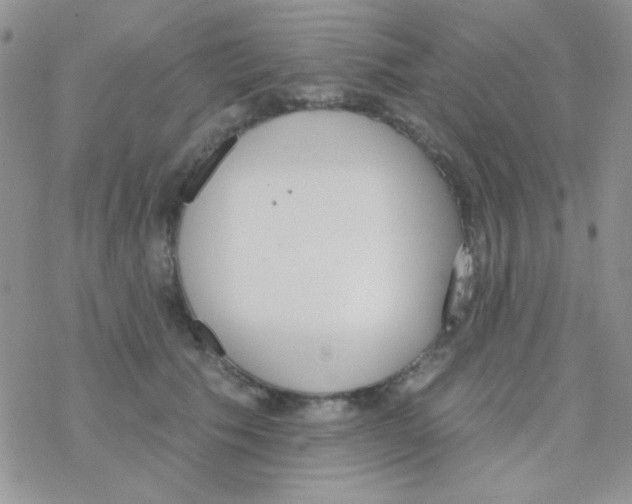 X0000077400609200611172106