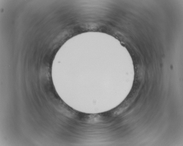 X0000077400612200611172106