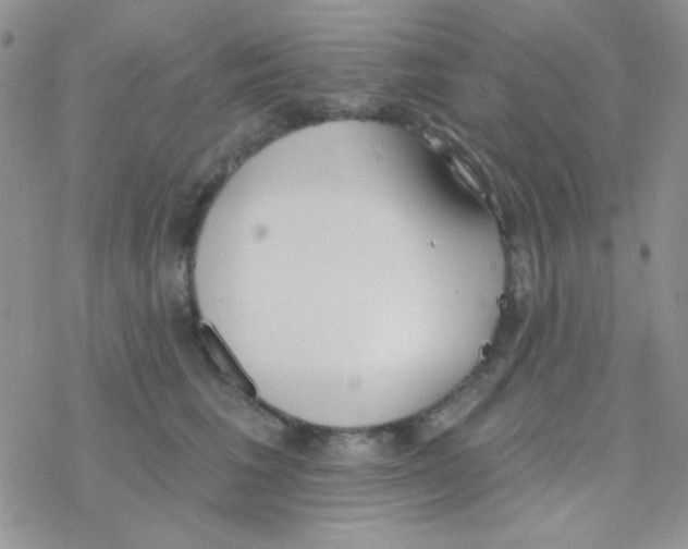 X0000077400613200611172106