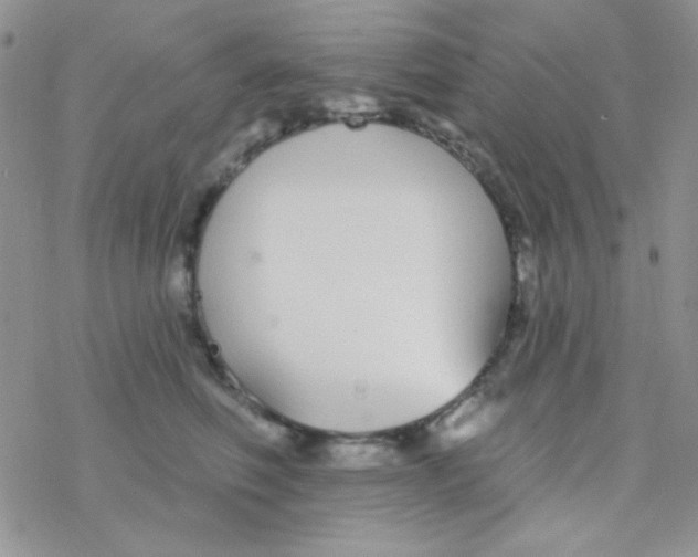 X0000077400614200611172106