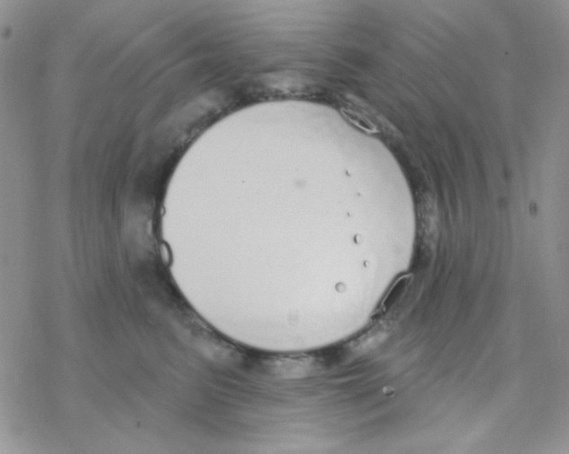 X0000077400615200611172106