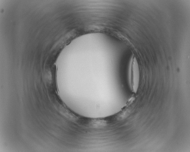 X0000077400617200611172105