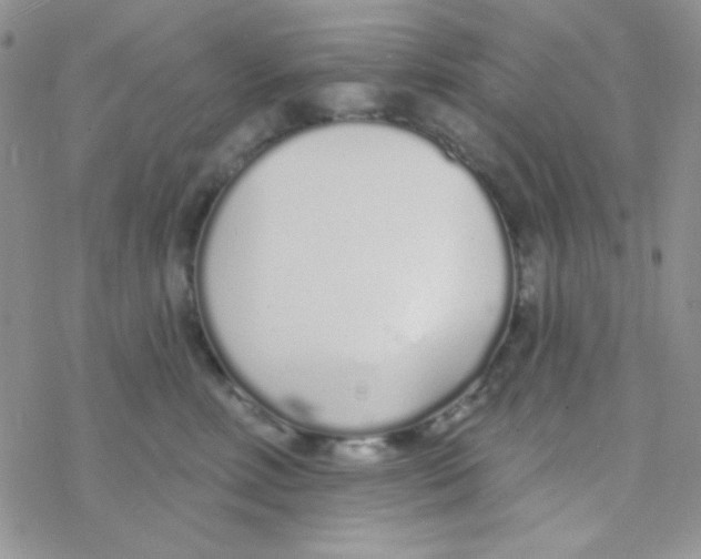 X0000077400618200611172105