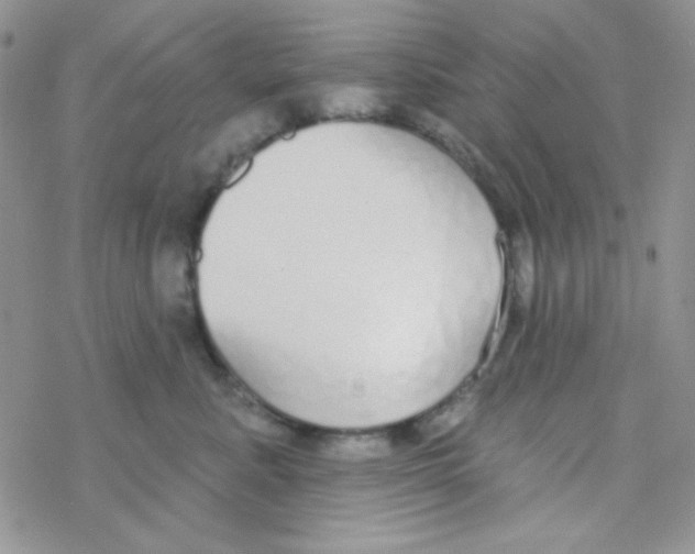 X0000077400619200611172105