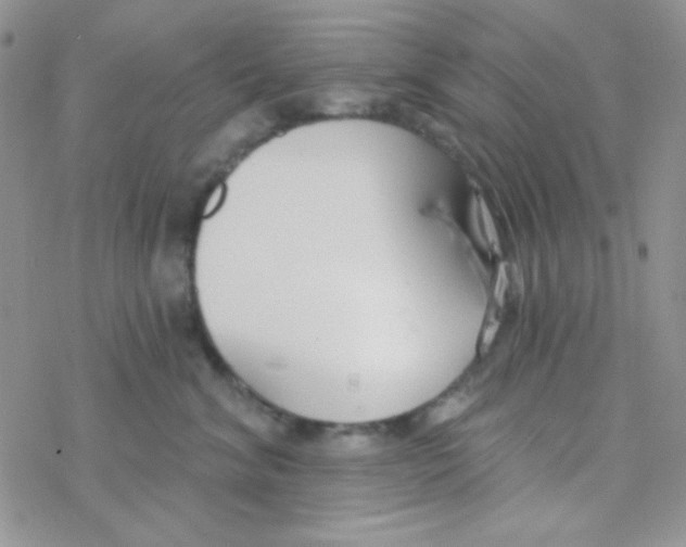 X0000077400620200611172105