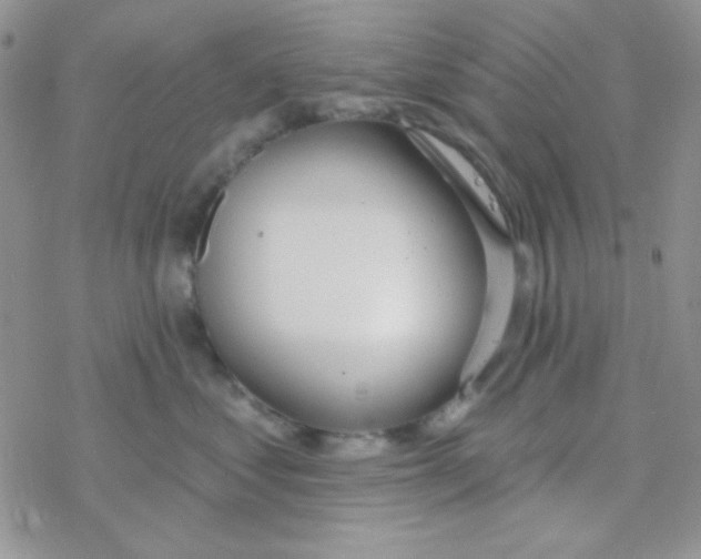 X0000077400621200611172105