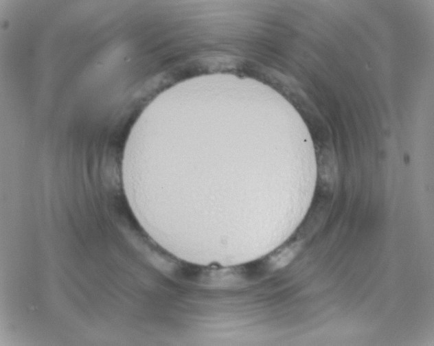 X0000077400622200611172105