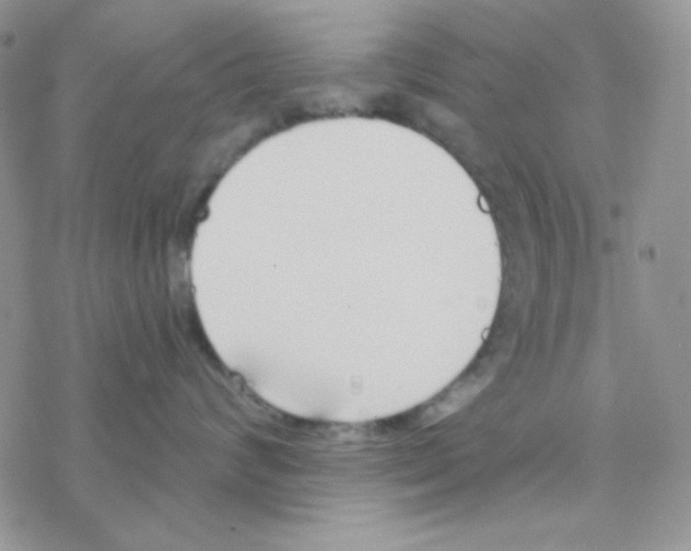 X0000077400624200611172105