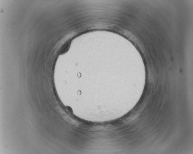 X0000077400625200611172105