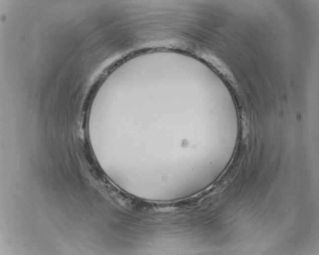 X0000077400628200611172105