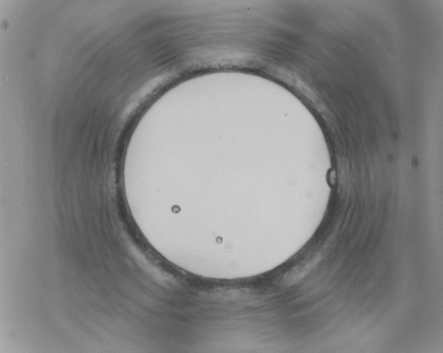 X0000077400629200611172105