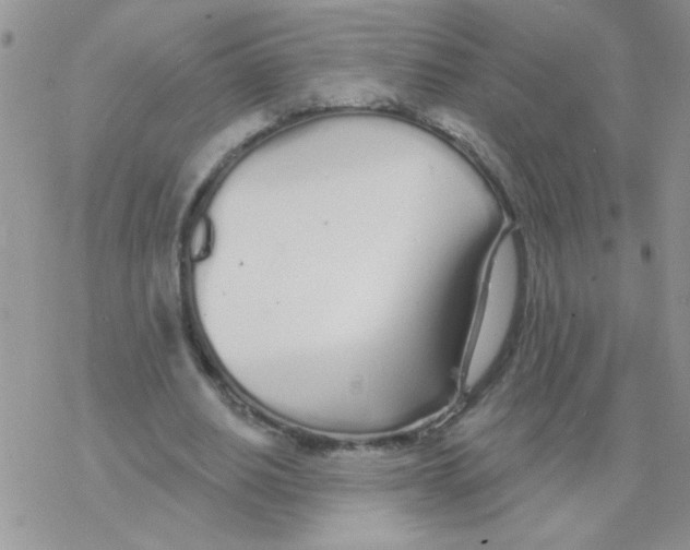 X0000077400630200611172105