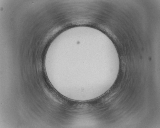 X0000077400631200611172105