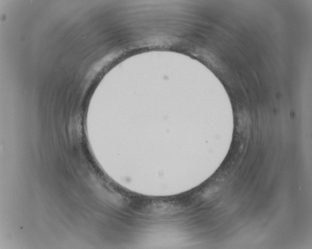 X0000077400632200611172105